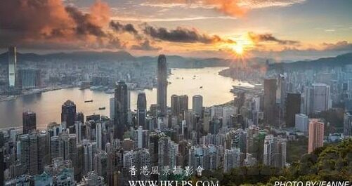 91麻豆国产-探寻91麻豆国产的背后深意，文化与创新的交融