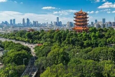 国产精品视频一区二区三区无码-国产影视精品的多元探索，一区、二区、三区的无码艺术
