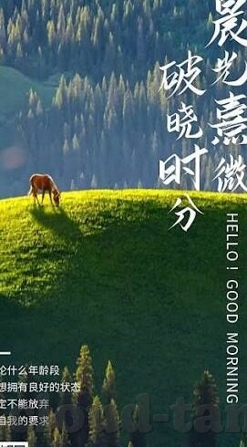 国产麻豆剧传媒精品av-国产剧集的新境界 —— 国产麻豆剧传媒精品解析