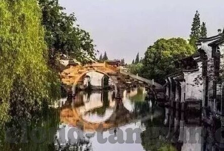 麻豆av传媒-麻豆——AV传媒内容背后的多维度考察