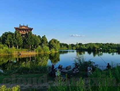 麻豆传媒91app-揭秘麻豆传媒91app，移动端色情风波的背后