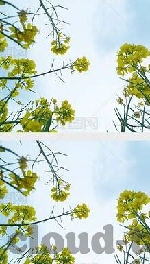麻豆精东蜜桃果冻传媒-麻豆精东蜜桃果冻传媒，数字时代的奇趣现象探索