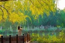 糖心vlog怎么下载视频-高效获取糖心vlog视频，实用的下载攻略