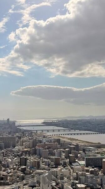 www800av麻豆-探寻WWW800AV麻豆，互联网文化的一抹亮色