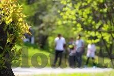 芝麻视频怎么卖芝麻豆-芝麻视频，创新商业模式——做优芝麻豆的销售与分销